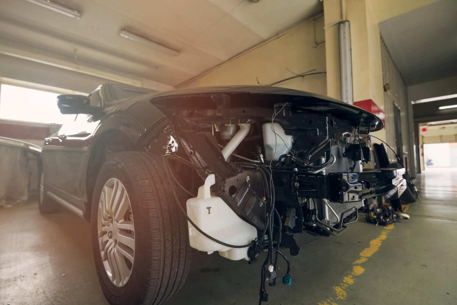 Honda Accord and Civic